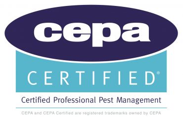 Erfolgreiche CEPA-Zertifizierung